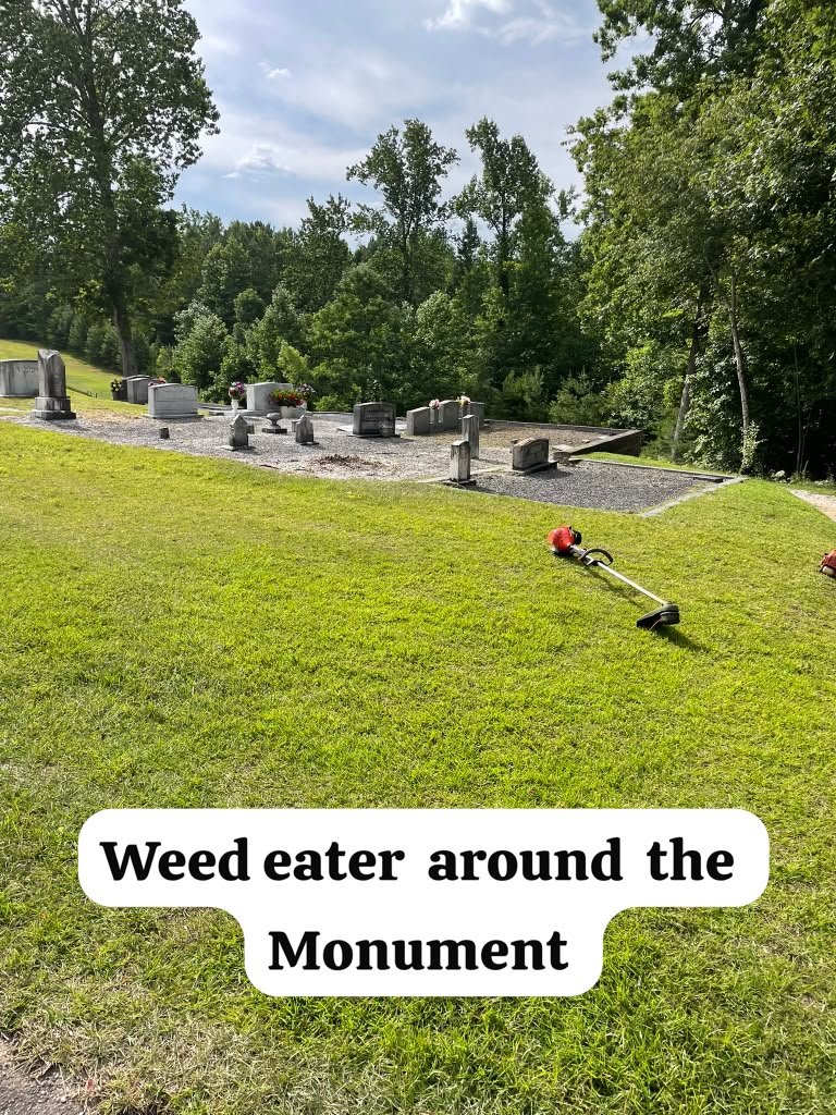 Weed trimming project photograph 6